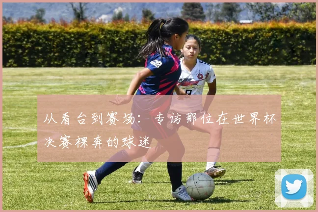 从看台到赛场：专访那位在世界杯决赛裸奔的球迷