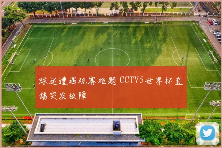 球迷遭遇观赛难题 CCTV5世界杯直播突发故障
