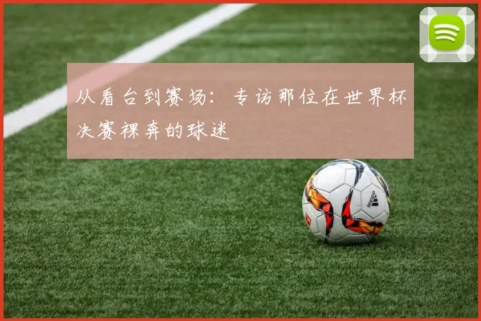 从看台到赛场：专访那位在世界杯决赛裸奔的球迷