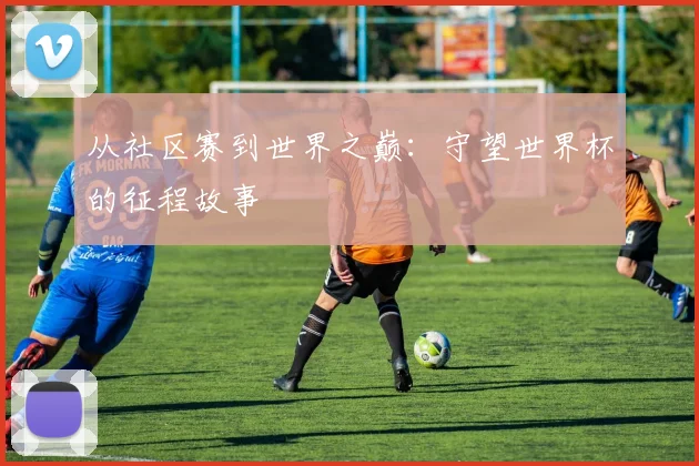 从社区赛到世界之巅：守望世界杯的征程故事